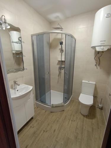 a bathroom with a shower and a toilet and a sink at Отель Гетьман in Broska
