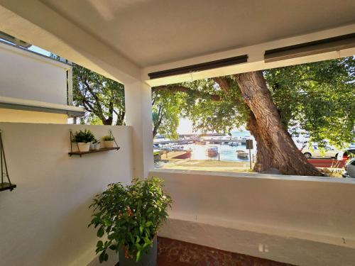 a window in a room with a tree outside at Riva in Klenovica