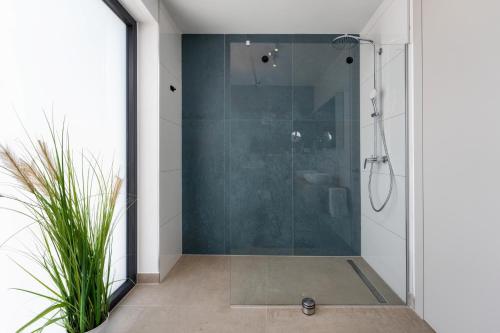 a shower with a glass door in a bathroom at Casa Seal by Briskva in Funtana