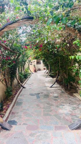 a walkway with flowers and plants in a garden at Zad El Mosafer Guest House in Tunis