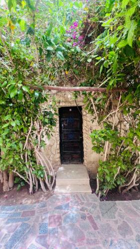 a entrance to a building with a door at Zad El Mosafer Guest House in Tunis