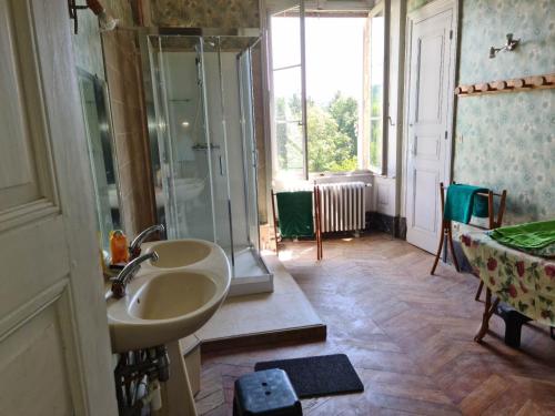 a bathroom with a sink and a shower at Chateau de Barral - Piscine privée in Hauterives