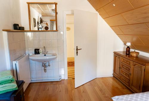 a bathroom with a sink and a mirror at Die Hornbacherin in Rottenmann