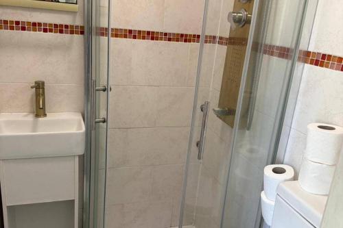 a bathroom with a shower and a sink and a toilet at Studio - Parking - Garden - WiFi - Sleeps 2 in Cambridge