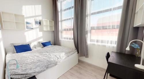Modern Twin Studio in the Heart of Brno