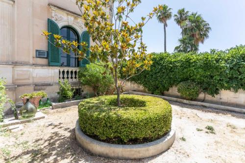 a small tree in a bush in front of a building at Villa Ciccarese in Cursi