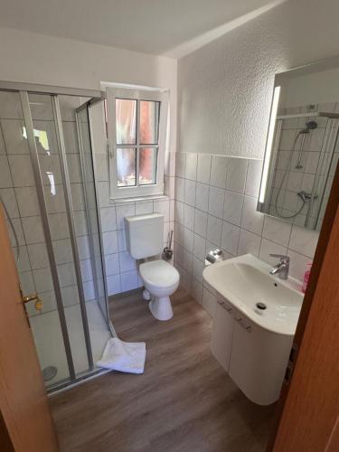 a bathroom with a toilet and a sink at Heideglück in Visselhövede