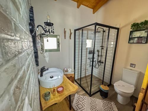 a bathroom with a shower and a sink and a toilet at Elaia Rest House Retreat in nature in Fréngaina