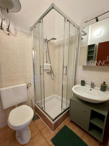 a bathroom with a shower and a toilet and a sink at Casa Luma in Poljana