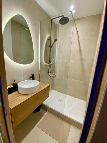 a bathroom with a shower and a sink and a mirror at Les Jardins Suspendus in Lyon