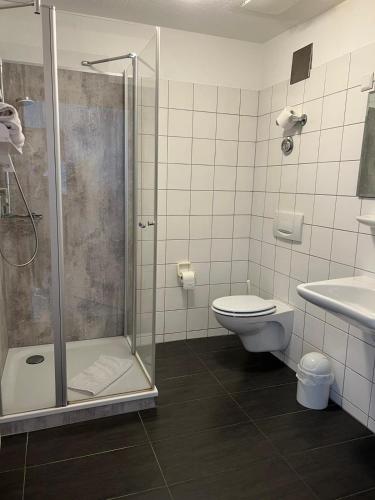 a bathroom with a shower and a toilet and a sink at Hotel Kaiserpfalz in Fritzlar