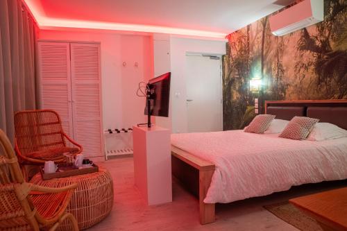a bedroom with a bed and a tv and a chair at Suite Aracari, clim, balneo, terrasse - Parc des Oiseaux in Villars-les-Dombes