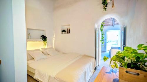 a white bedroom with a bed and a plant at Casa Nossa in Azinhal