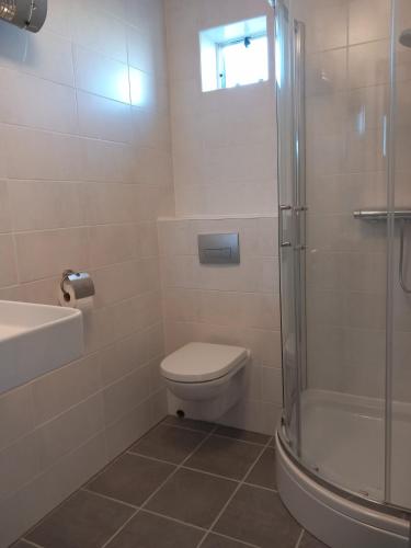 a bathroom with a toilet and a shower and a sink at B&B De koekoeksklok in IJsselmuiden