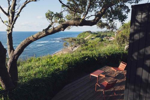 Bonjour Sauvage Saint Jean de Luz photo 2