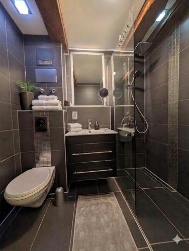 a bathroom with a toilet and a sink and a shower at Apartment Regensburg in Regensburg