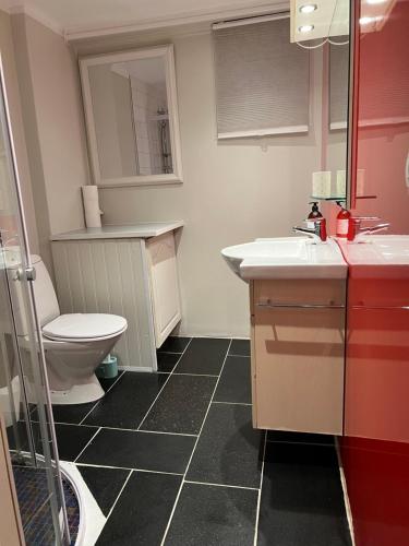 a bathroom with a toilet and a sink at Arya villa in Bergen