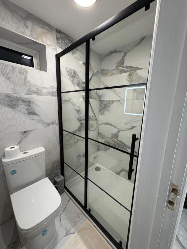 a white bathroom with a toilet and a shower at Kennington house #30 in Oxford