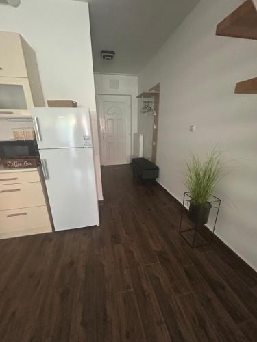 Freedom apartman