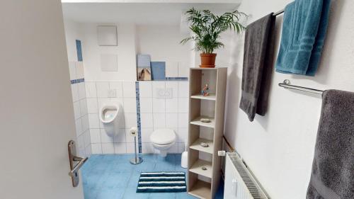 a bathroom with a toilet and a potted plant at Fewo Loft Konstanz in Konstanz