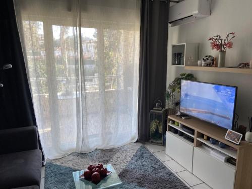 Cannes Seasonal Rental