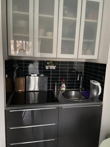Cannes Seasonal Rental