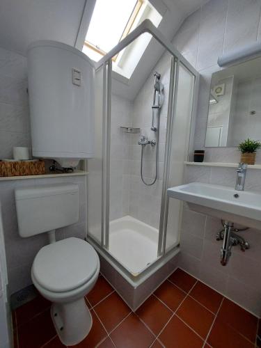a bathroom with a shower and a toilet and a sink at Terme Olimia - Apartment Lipa 112 in Podčetrtek