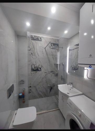 a bathroom with a shower and a toilet and a sink at Jana apartment 3 in Tivat