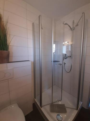 a shower with a glass door in a bathroom at Kurbad St Martin in Bad Kohlgrub