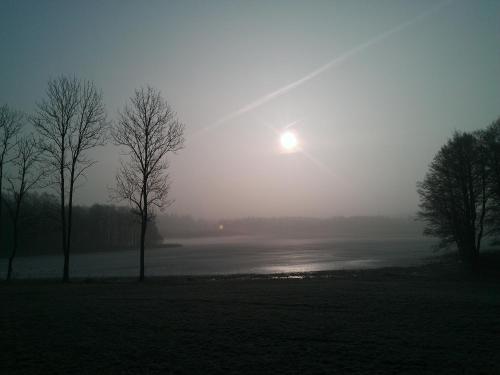 a misty sunrise over a lake with trees in a field at Folwark Hutta in Suwałki