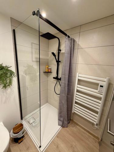 a shower with a glass door in a bathroom at Studio 2 neuf RDC hyper centre-ville in Bar-le-Duc