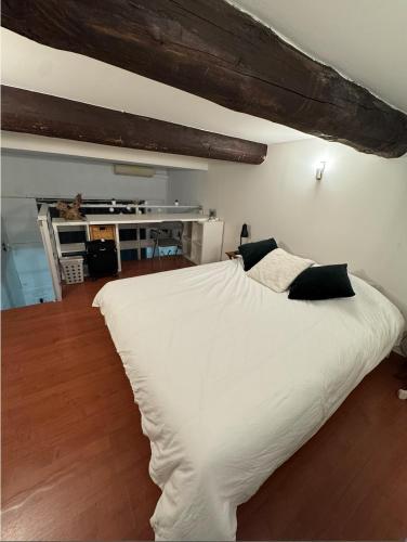 Au pied des Halles - 46m2 en centre ville - 1 chambre et 1 mezzanine - tout confort