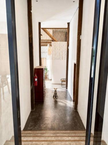 Ein Hund sitzt mitten in einem Flur. in der Unterkunft White Wall Riverfront Hotel in Kamphaeng Phet