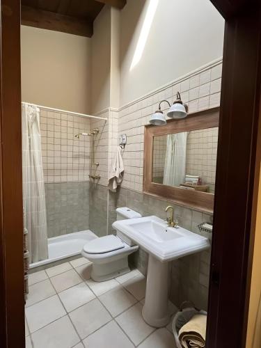 a bathroom with a sink and a toilet and a shower at Casa Rural David in Chía