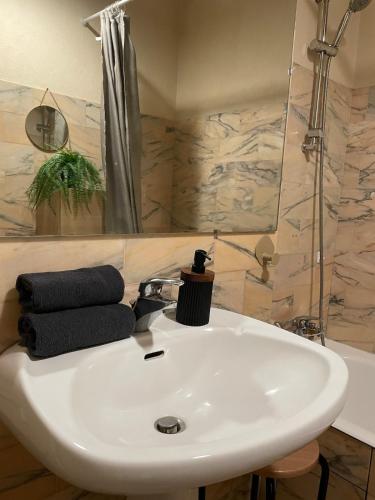 a bathroom with a white sink and a shower at Le Cocon Cornouaillais, hyper centre, parking pv in Quimper