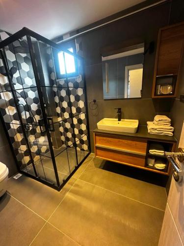 a bathroom with a glass shower and a sink at MarinaBlueGarden34 in Karaburun