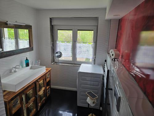 a bathroom with a white sink and a window at Naturparadies an der Saale in Könnern