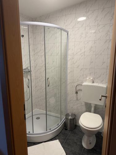 a bathroom with a shower and a toilet at Hotel Finida in Obrov