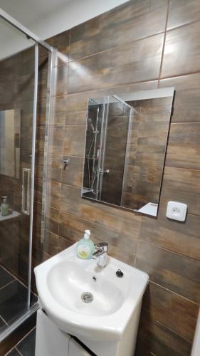 a bathroom with a sink and a shower and a mirror at Apartmán pro 4 osoby, Most M1 in Most
