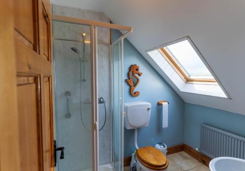 a bathroom with a shower and a toilet and a skylight at Blasket Cottage - Portmagee in Lateeve