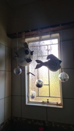 a window with stuffed animals hanging in a bathroom at Herberg 5 in Vosburg