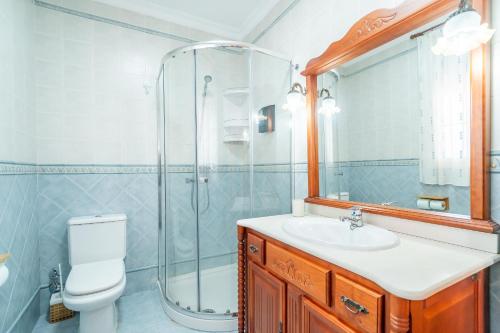 a bathroom with a shower and a toilet and a sink at Cubo's Casa La Peña in Antequera