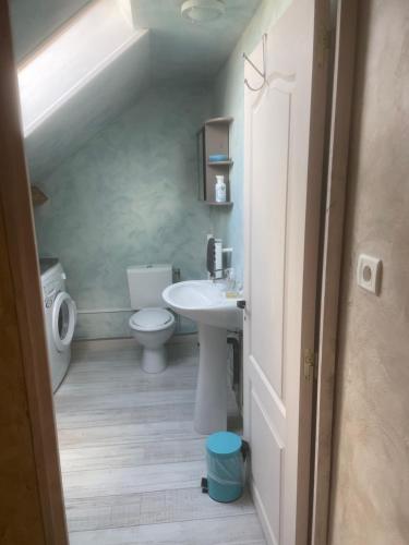 a bathroom with a sink and a toilet at Gîte Les Galipes in Mareuil-sur-Ay