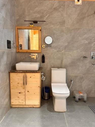 a bathroom with a toilet and a sink and a mirror at The Walnut Homes- Luxury Pine Cottages in Bhīm Tāl