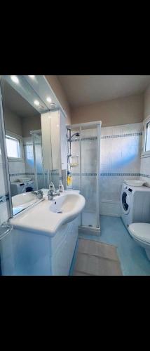 a bathroom with a sink and a mirror and a toilet at Bungalow sul mare in Costa Rei