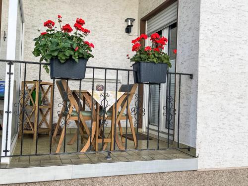 two pots of red flowers on a balcony at Apartment Becker by Interhome in Bad Neuenahr-Ahrweiler