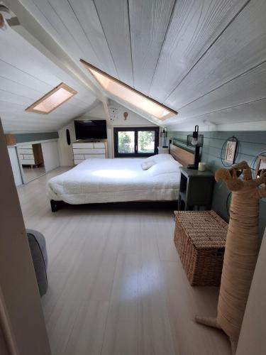a bedroom with a bed and a television in it at Domaine Plan Bois in Ballaison