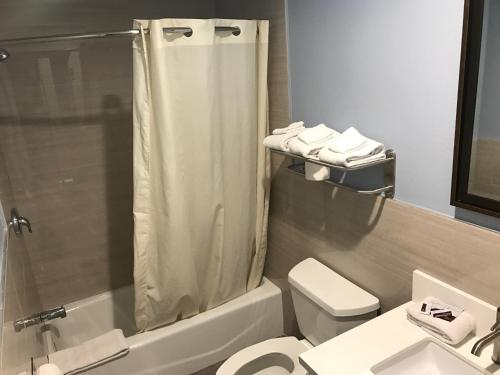 a bathroom with a shower and a toilet and a sink at Empire Inn in Los Angeles