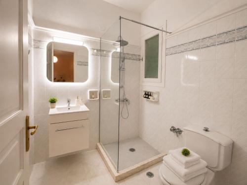 a bathroom with a shower and a toilet and a sink at Olive Tree-Member of My Villas Hospitality in Lefkada