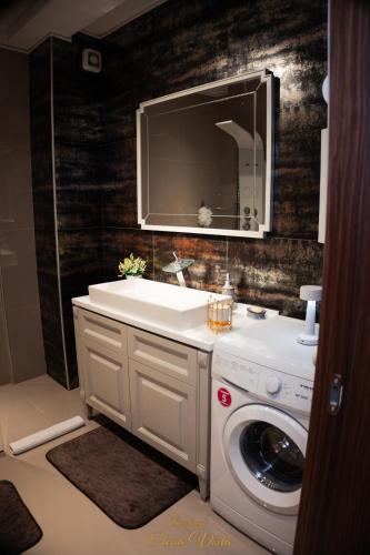 a bathroom with a washing machine and a sink at Elena Vista Apartments in Štip